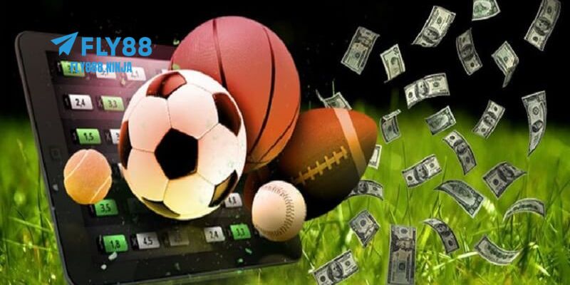 Thể Thao FLY88 – Cá Cược Thể Thao Trực Tuyến Đỉnh Cao 4 Lưu ý quan trọng mà người chơi cần biết rõ khi chơi thể thao FLY88