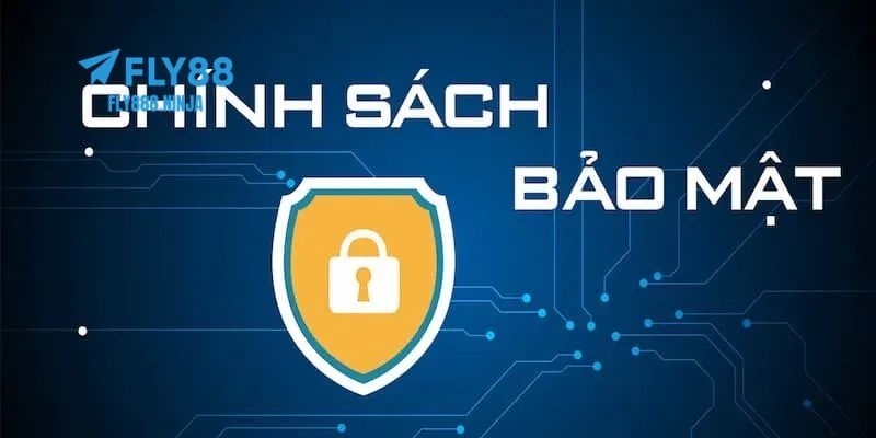 Chính Sách Bảo Mật – Đảm Bảo An Toàn Cho Hội Viên FLY88 4 Quyền lợi, trách nhiệm của người chơi và nhà cái trong chính sách bảo mật